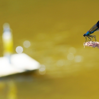 Strážce vědeckého vybavení