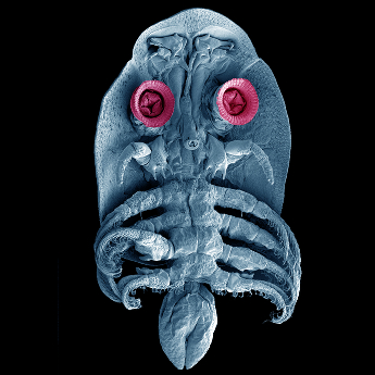 Jen se trochu přisaju...