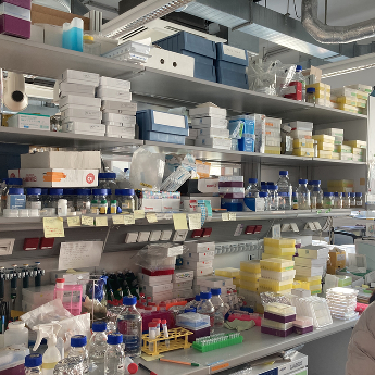 Někdy je toho prostě moc