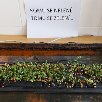 Komu se nelení, tomu se zelení!