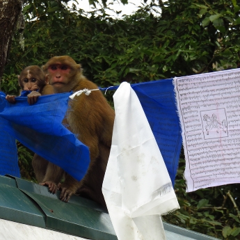 When the Supervisor Spotted the Graduate Student