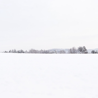 zima