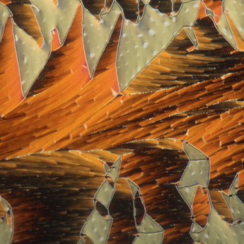 Textura feroelektrického nematika