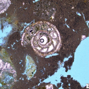 Perfect Spiral 