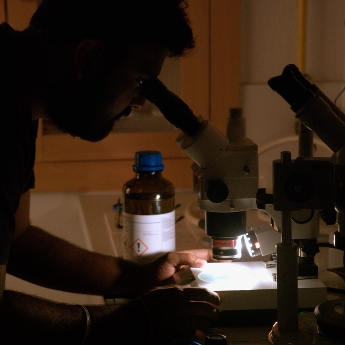Sample picking