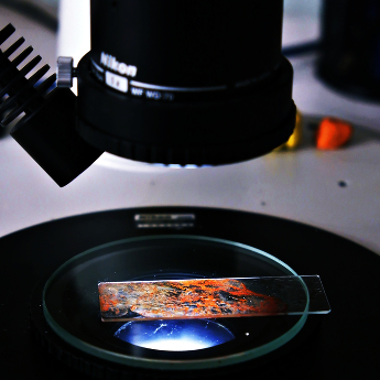 The first look: pre-screening for diffraction
